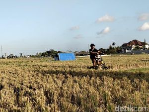 Tekan Alih Fungsi Lahan, Pembeli Tanah di Kapal Wajib Jadi Krama Adat