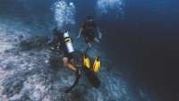 MArtin tak hanya menikmati kenidahan pantai Maldives saja. Namun dia juga menyelami keindahan bawah lautnya.