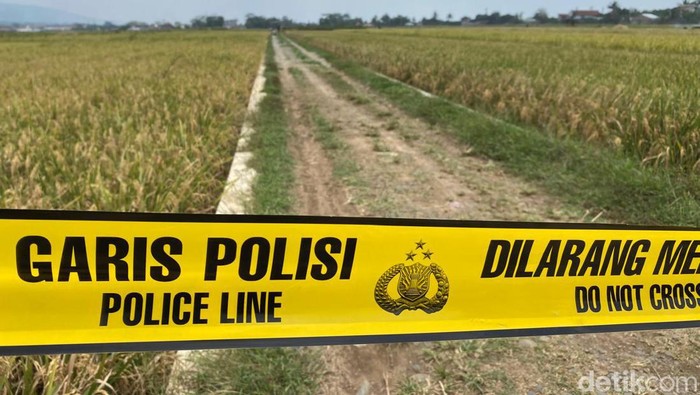 Lokasi penemuan mayat pria misterius dengan kepala bersimbah darah di persawahan Desa Klampok, Kecamatan Purwareja Klampok, Kabupaten Banjarnegara, Minggu (29/9/2024).