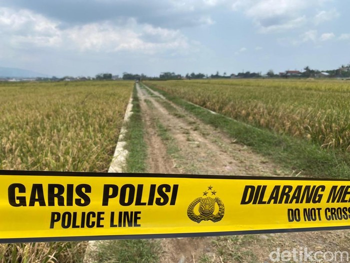 Lokasi penemuan mayat pria misterius dengan kepala bersimbah darah di persawahan Desa Klampok, Kecamatan Purwareja Klampok, Kabupaten Banjarnegara, Minggu (29/9/2024).
