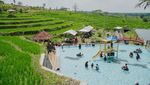 Asyiknya Berenang di Tengah Hijaunya Terasering
