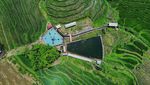 Asyiknya Berenang di Tengah Hijaunya Terasering