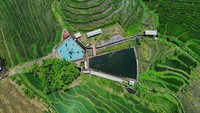 Bumdes setempat mengembangkan wisata pemandian dengan memanfaatkan sumber mata air di sekitar lahan sawah terasering.