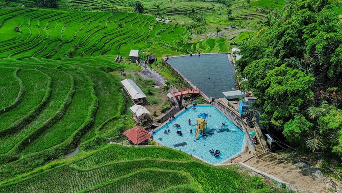 Foto udara sejumlah wisatawan berenang di Pemandian Sumber Nah, Desa Kalisemut, Lumajang, Jawa Timur, Minggu (29/9/2024). Bumdes setempat mengembangkan wisata pemandian dengan memanfaatkan sumber mata air di sekitar lahan sawah terasering dengan tujuan untuk meningkatkan perekonomian warga setempat. ANTARA FOTO/Irfan Sumanjaya/aww.
