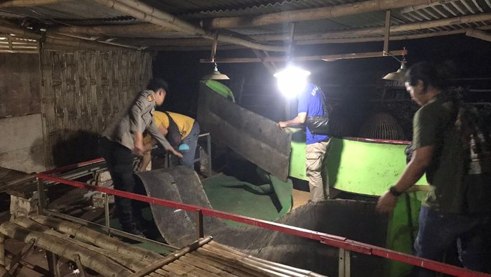 Polisi Grebek dan Bakar Lokasi Sabung Ayam di Sidayu Gresik