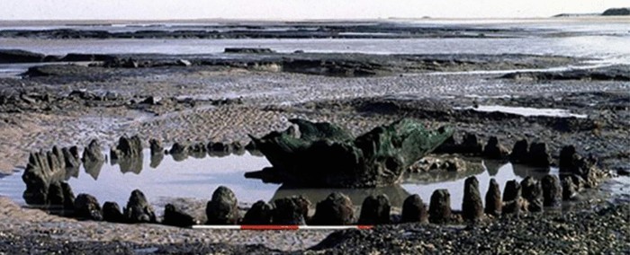 Seahenge di Pantai Holme, Inggris sebelum dikonservasi.