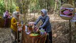 Serunya Belanja di Pasar Awi Campernik, Ada di Tengah Hutan Bambu