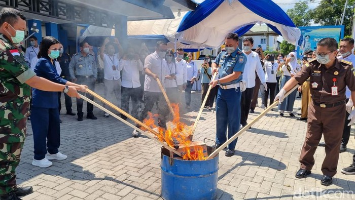 BNNP memusnahkan 523 gram ganja di Kupang, Senin (30/9/2024).