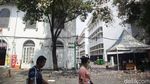 Menikmati Indahnya Bunga Tabebuya Bermekaran di Jakarta