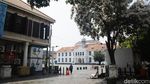 Menikmati Indahnya Bunga Tabebuya Bermekaran di Jakarta