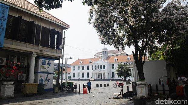 Warga berjalan di dekat bunga tabebuya yang bermekaran di Kawasan Kota Tua, Jakarta, Senin (30/9/2023). Bunga dari pohon Tabebuya yang berasal dari Brazil itu bermekaran dan menambah keindahan kota.