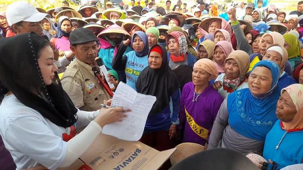 Kampanye cabup brebes bersama petani bawangTtd kontrak farming