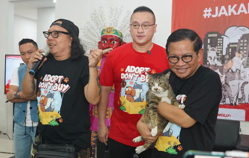 Calon Gubernur DKI Jakarta Pramono Anung Sedang Membantu Relawan Dalam Acara Sterilisasi 1200 Kucing Jakarta Menyala Yang Di Adakan Di GOR Kebon Jeruk, Jakbar