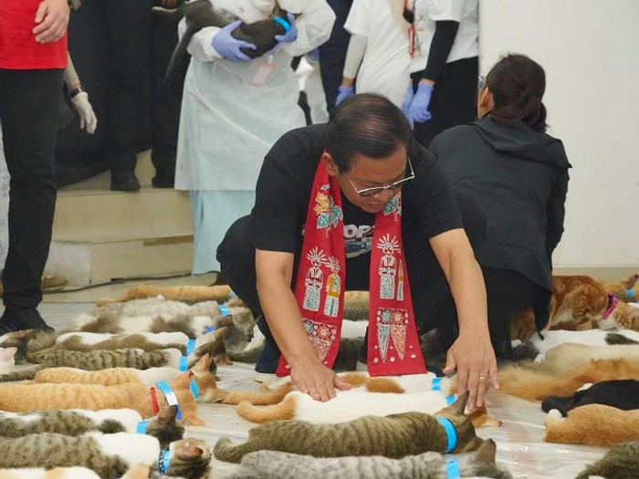 Calon Gubernur DKI Jakarta Pramono Anung Sedang Membantu Relawan Dalam Acara Sterilisasi 1200 Kucing Jakarta Menyala Yang Di Adakan Di GOR Kebon Jeruk, Jakbar