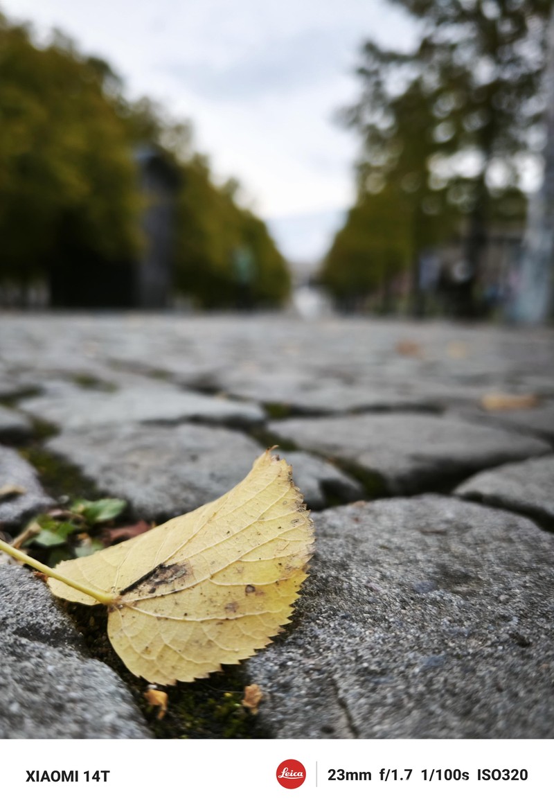 Hasil Kamera Xiaomi 14T