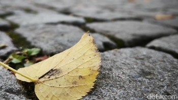 Difoto dalam mode Leica Authentic tanpa tambahan filter. Foto: detikINET/Anggoro Suryo Jati