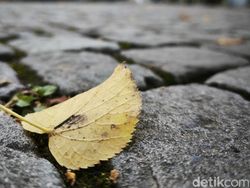 Pesona Berlin Dipotret Pakai Kamera Xiaomi 14T