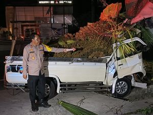 Pikap Bawa Janur Tabrak Pohon di Jalan Denpasar-Gilimanuk, Sopir Tewas Terjepit