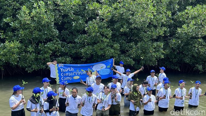 KSDAE KLHK melakukan penanaman mangrove hingga rehabilitasi terumbu karang dalam rangka melestarikan lingkungan untuk menghadapi tiga krisis planet. (Kadek/detikcom).