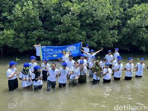 Hadapi 3 Krisis Planet, KLHK Tanam Mangrove-Terumbu Karang di Pulau Pramuka