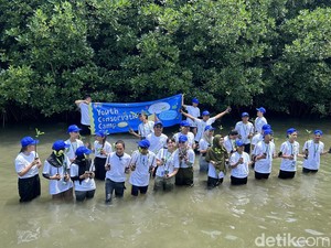 Hadapi 3 Krisis Planet, KLHK Tanam Mangrove-Terumbu Karang di Pulau Pramuka