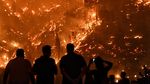 Yunani Berkobar Dilanda Kebakaran Hutan