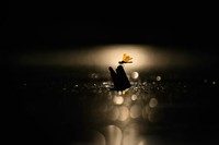 Nature TTL Photographer of the Year 2024