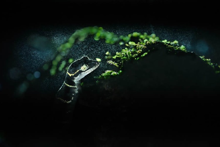 Nature TTL Photographer of the Year 2024