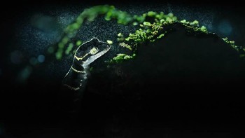 Highly Commeded kategori Small World diraih Soumya Ranjan Bhattacharyy dari India Foto: Nature TTL