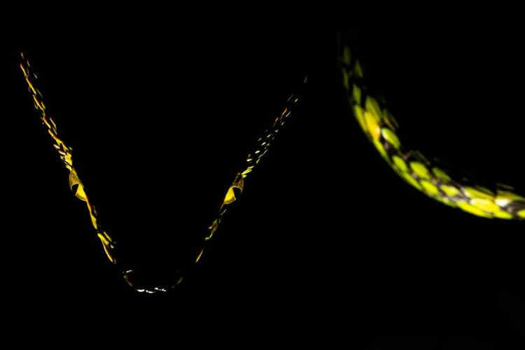 Nature TTL Photographer of the Year 2024