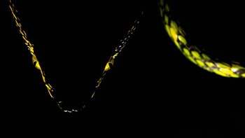 Highly Commeded kategori Small World diraih Christopher Meyer dari Jerman Foto: Nature TTL