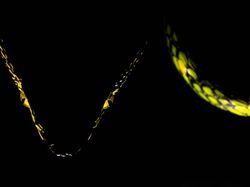 Jawara Kontes Foto Alam Bikin Takjub