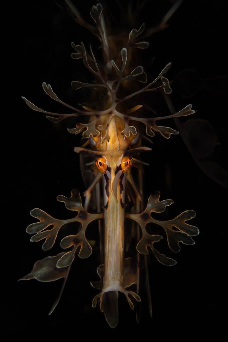Nature TTL Photographer of the Year 2024