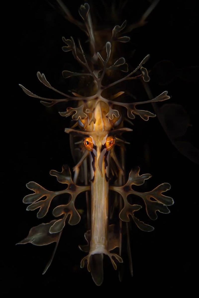 Nature TTL Photographer of the Year 2024