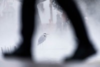Nature TTL Photographer of the Year 2024