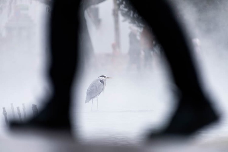 Nature TTL Photographer of the Year 2024