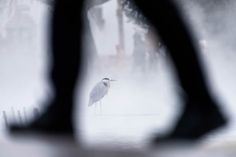 Nature TTL Photographer of the Year 2024