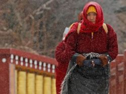 Jawara Kontes Foto Alam Bikin Takjub