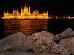 Jawara Kontes Foto Alam Bikin Takjub