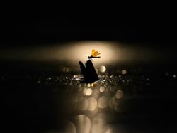 Jawara Kontes Foto Alam Bikin Takjub