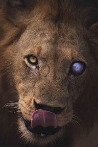 Nature TTL Photographer of the Year 2024