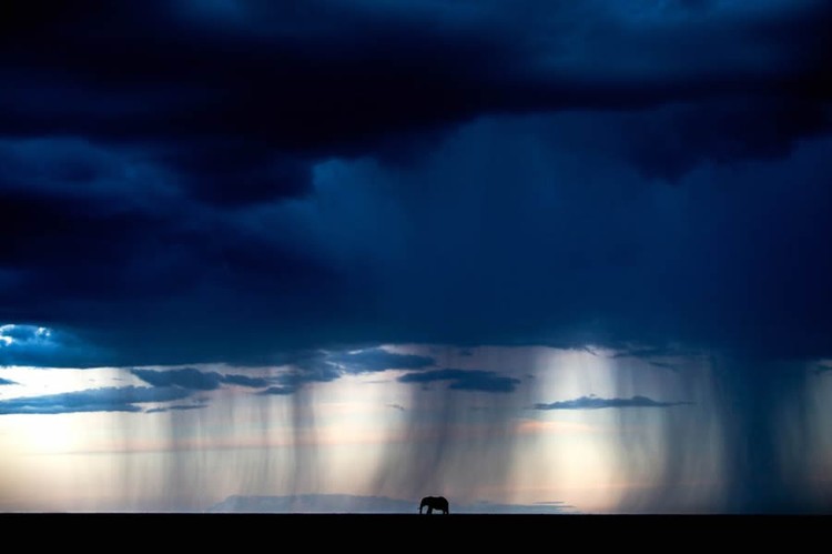 Nature TTL Photographer of the Year 2024