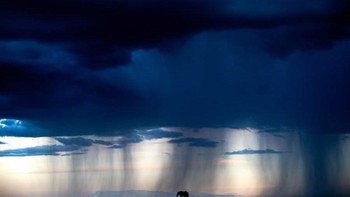 Runner-up kategori Wild Portraits diraih Paul McDougall dari Inggris. Foto: Nature TTL