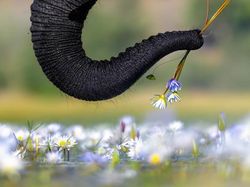 Jawara Kontes Foto Alam Bikin Takjub