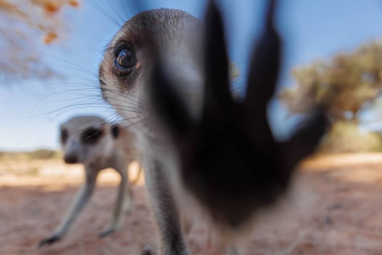 Nature TTL Photographer of the Year 2024
