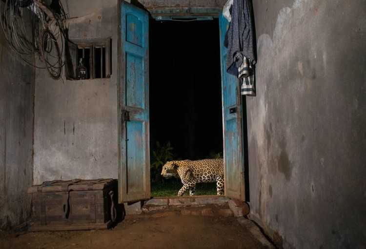 Nature TTL Photographer of the Year 2024