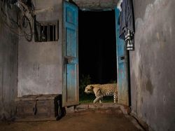 Jawara Kontes Foto Alam Bikin Takjub