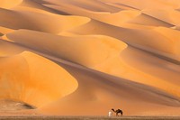 Nature TTL Photographer of the Year 2024