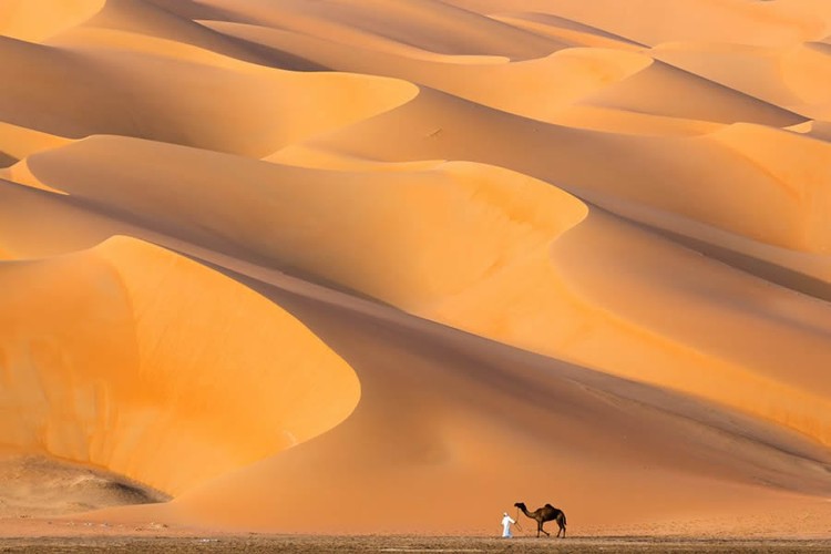 Nature TTL Photographer of the Year 2024