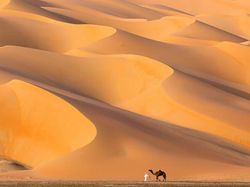 Jawara Kontes Foto Alam Bikin Takjub